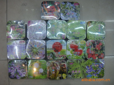 方寸间的绿意诗篇 微型盆景DIY与创意园艺生活