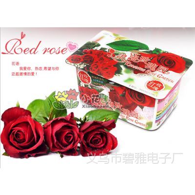 迷你奇趣 用一朵花打造你的指尖花园
